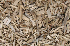 biomass boilers Luffincott